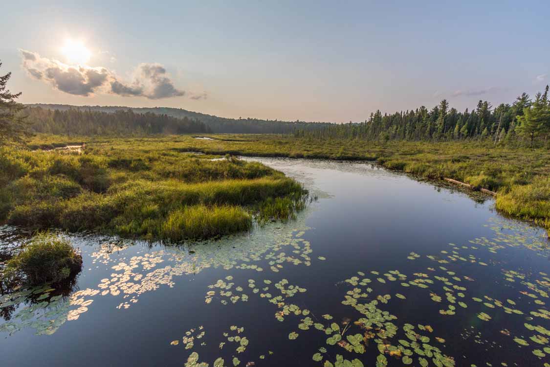 nice place to visit ontario