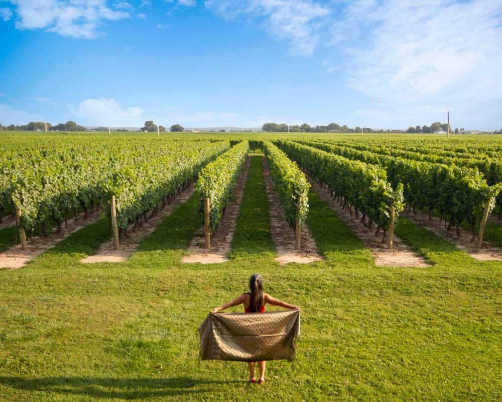 Ontario wine tour staycation tips