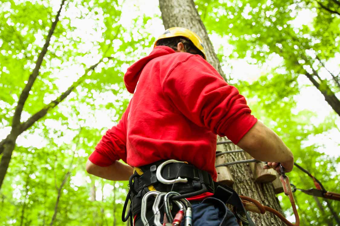 Treetop ziplines in Toronto