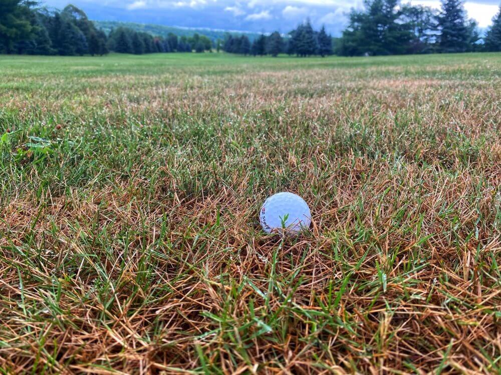 golfing in ontario