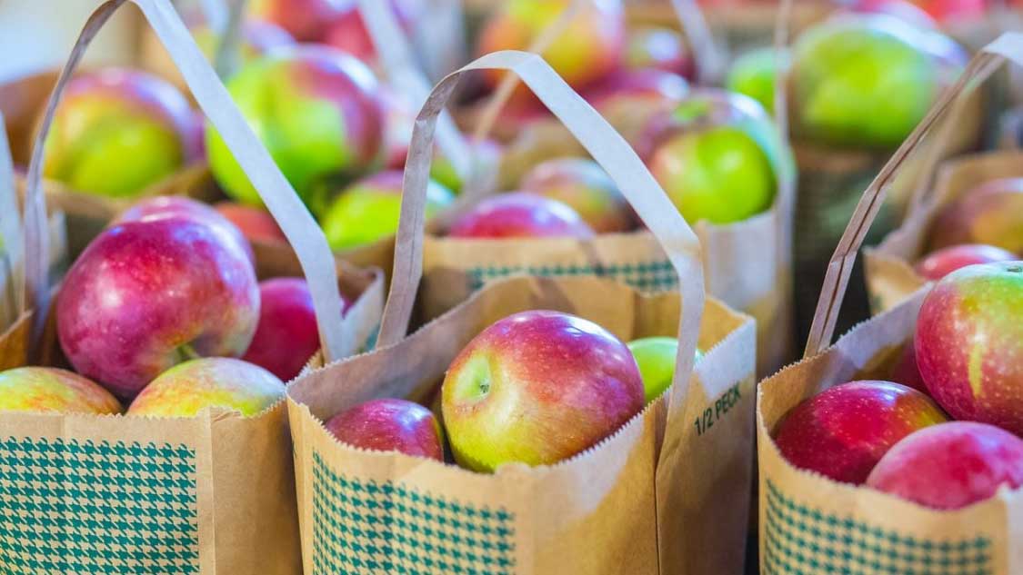 Ottawa apple picking