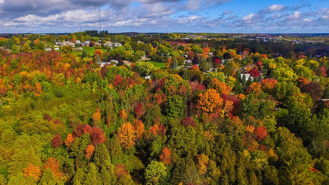 Fall Colours Near Toronto