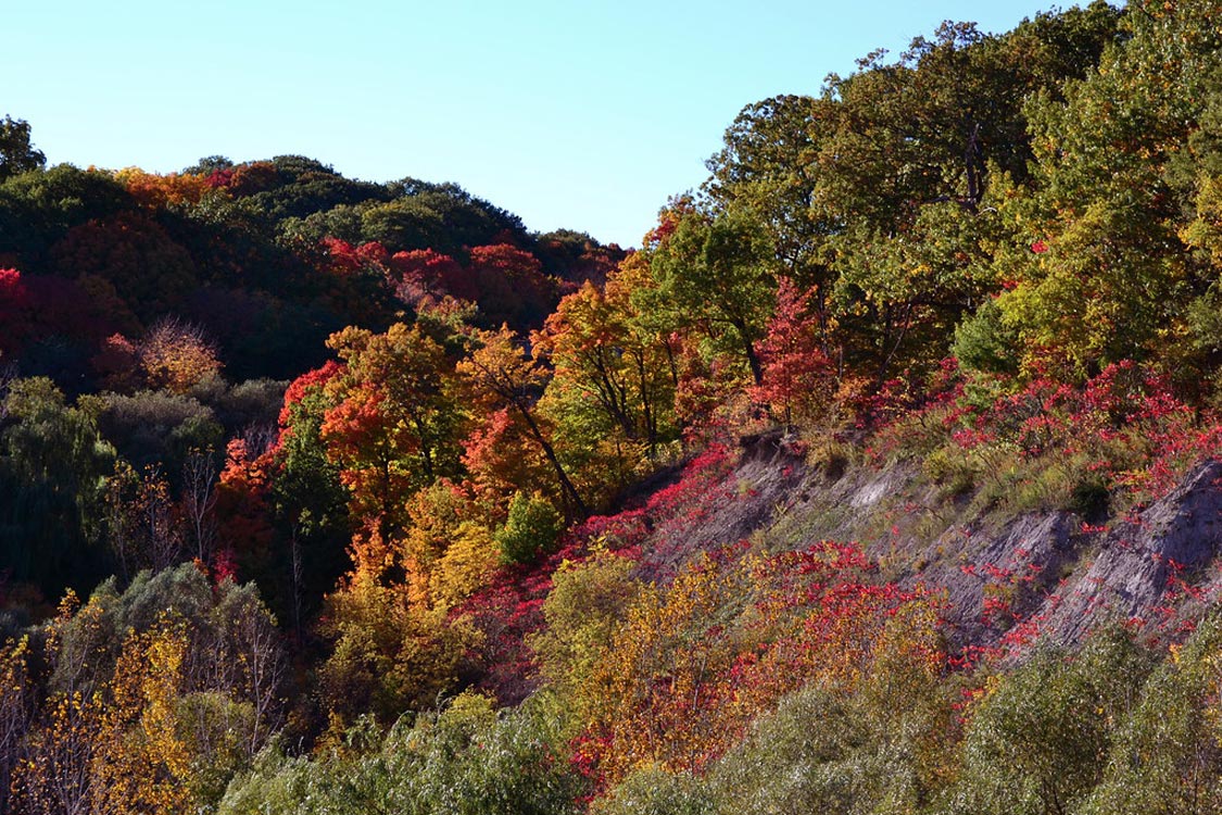 Fall Colours in Toronto Brickworks