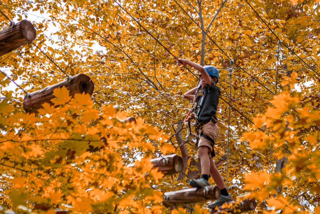 Fall colours in Bruces Mill Conservation Area