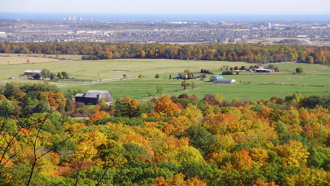 Views from Mount Nemo-Conservation Area in the Fall