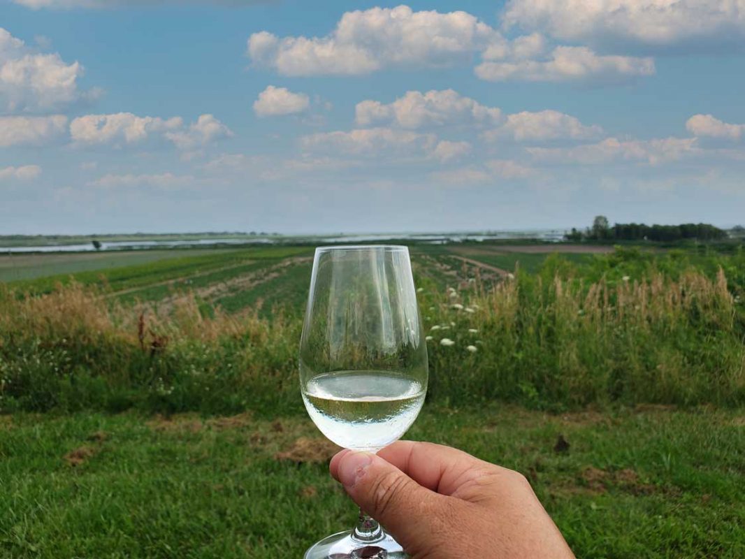 woman walking through a lavender winery in Norfolk County Ontario