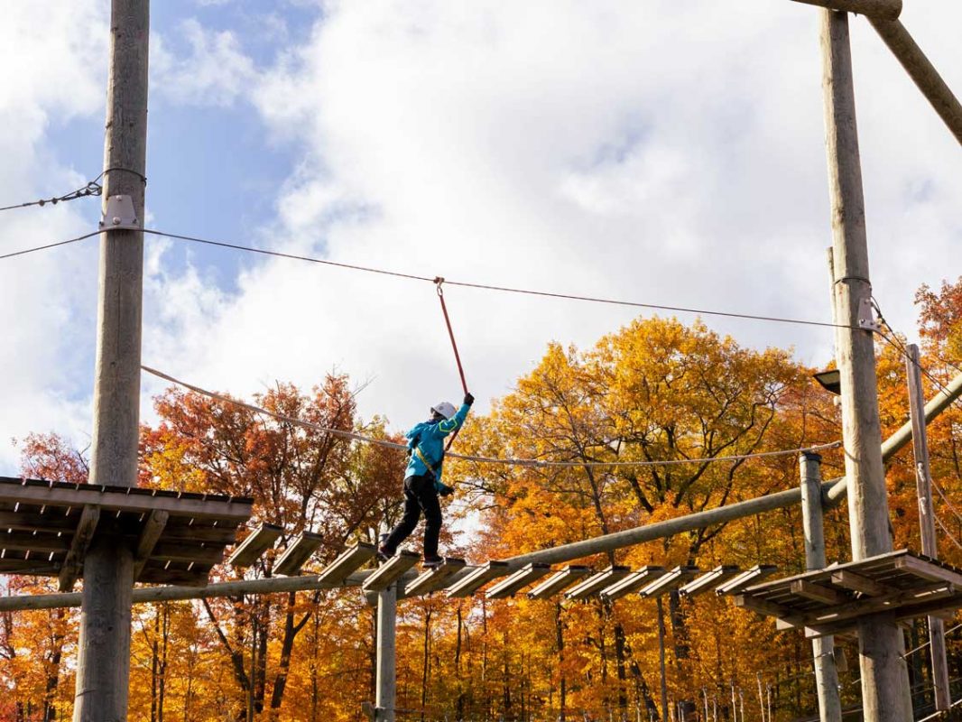 Boy treetop trekking in Blue Mountain Village