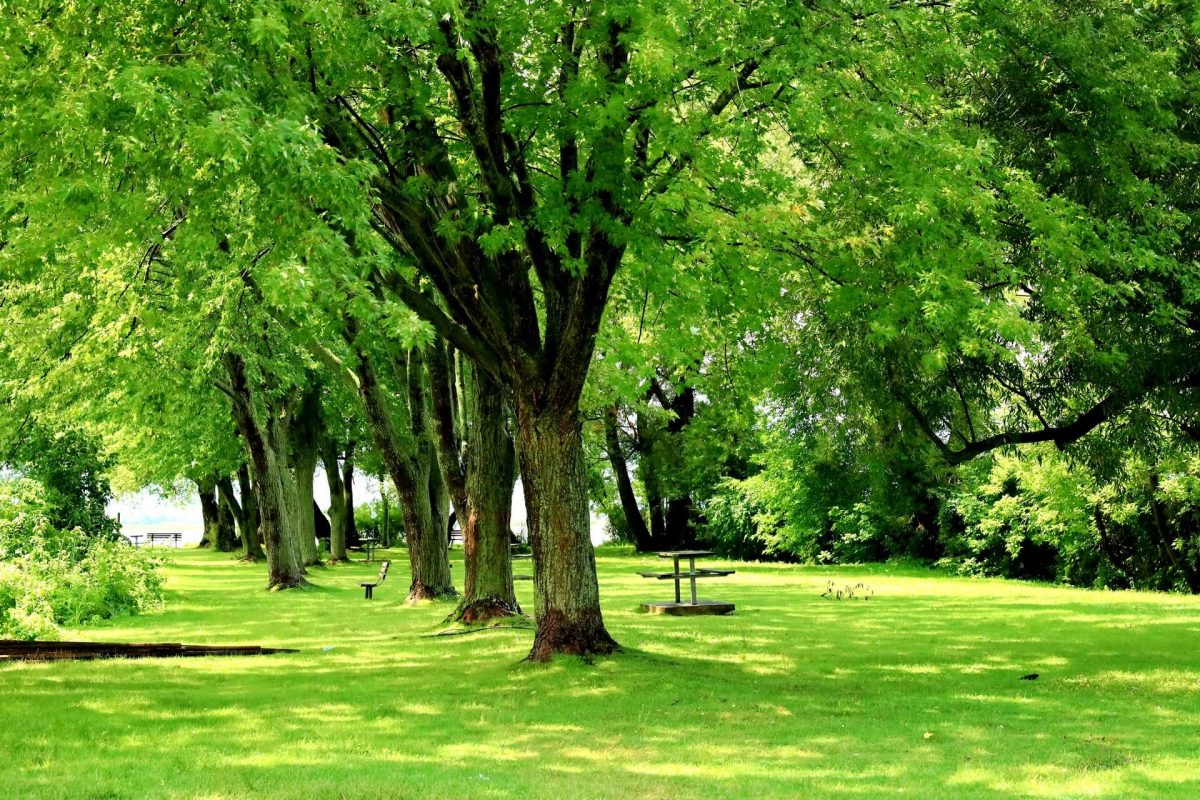 Centennial Park in Barrie, Ontario