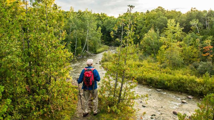 Amazing Hikes in Toronto: The Best Toronto Trails to Escape the ...