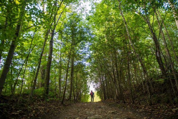 Amazing Hikes in Toronto: The Best Toronto Trails to Escape the ...