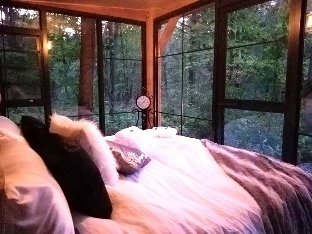 Luxury Ontario glamping with a bed overlooking a forest