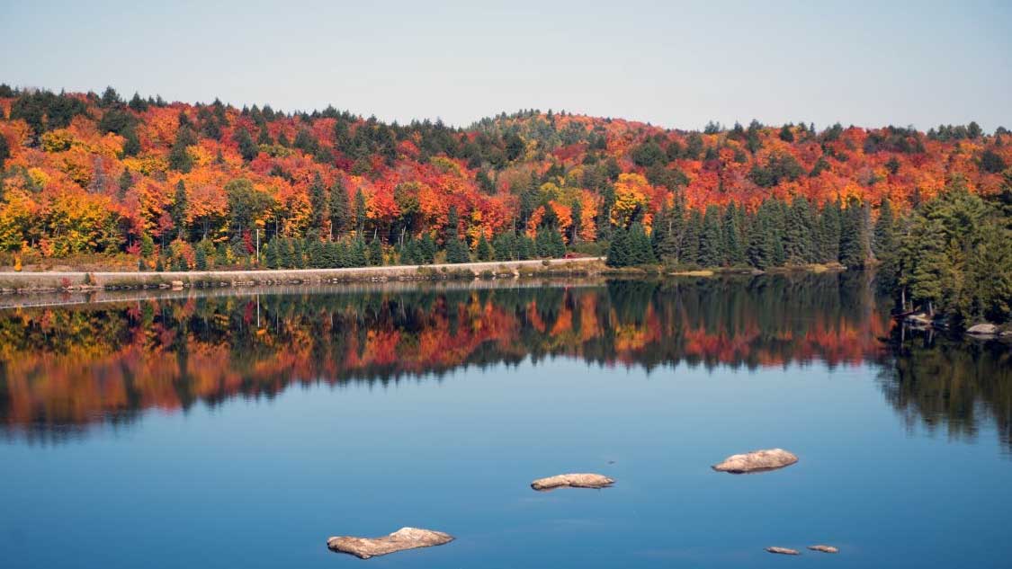 Ontario Parks fall colours