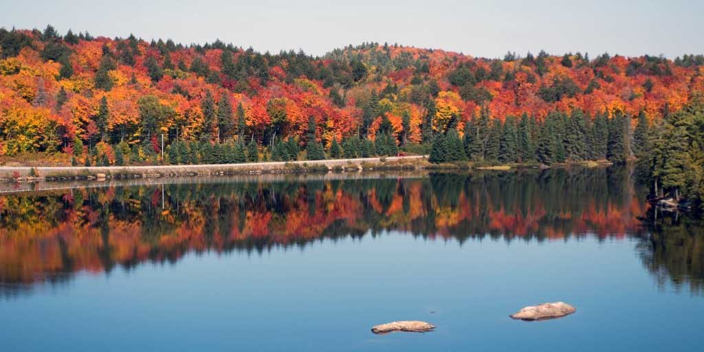 Where to See the Best Fall Colours in Ontario: The Ontario Parks ...