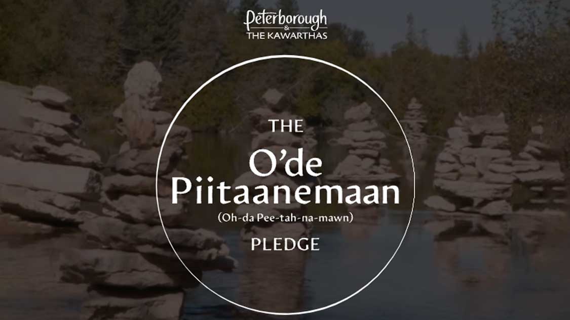Ode Piitaanemaan Pledge Peterborough
