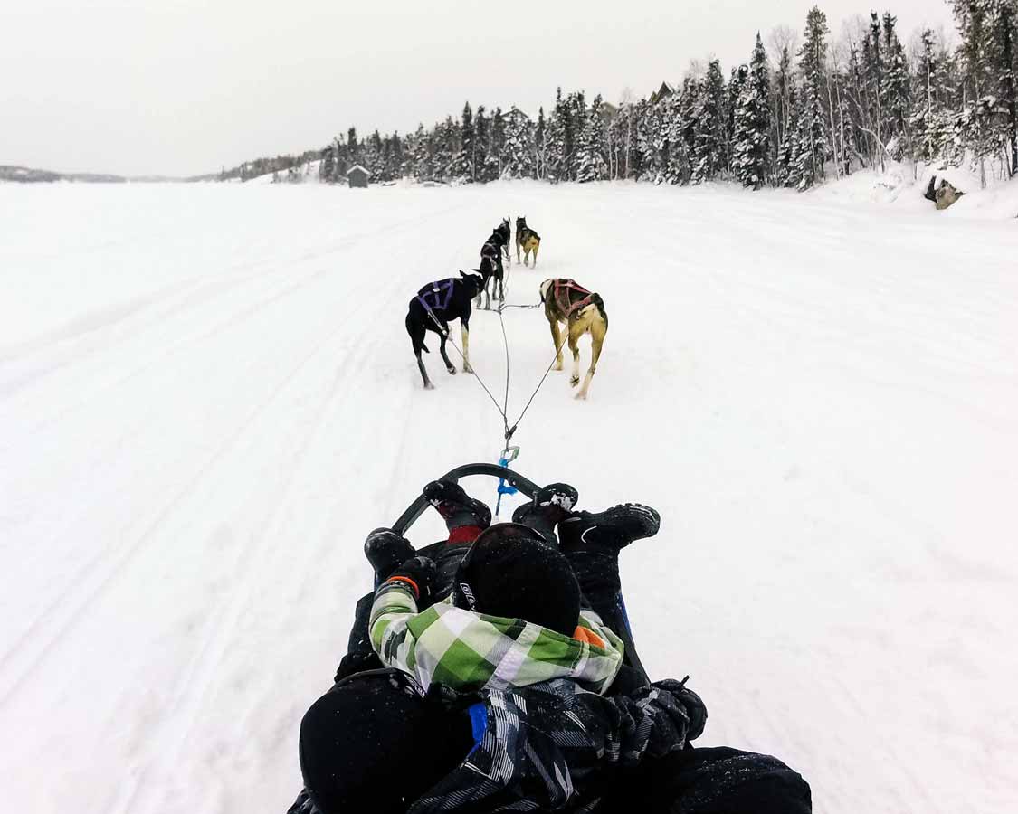Dog Sledding in Ontario 10 Awesome Places to Experience the Winter