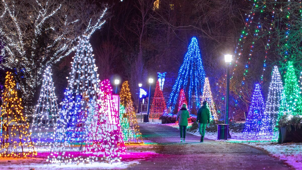 The Winter Festival of Lights in Niagara Falls