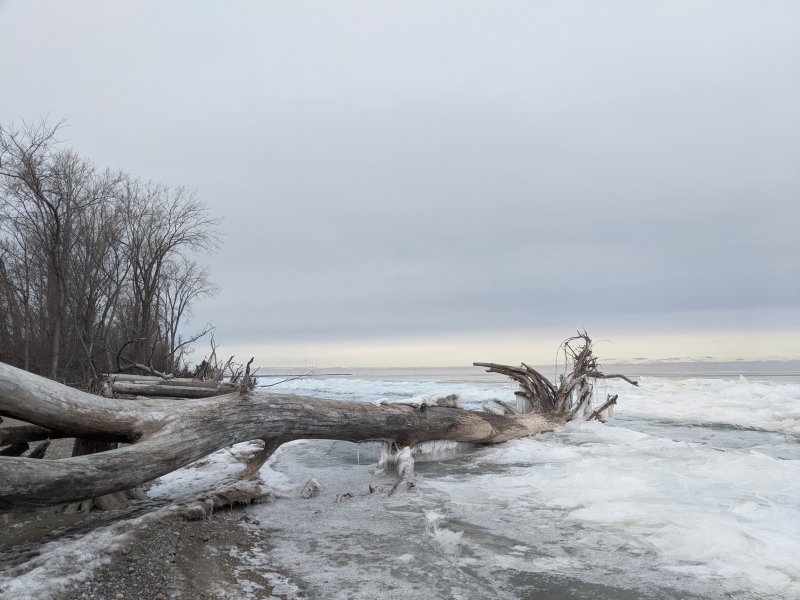 Winter at Point Pelee