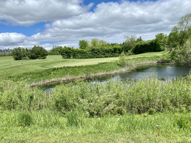 Golf at Hy-Hope in Pickering, Ontario