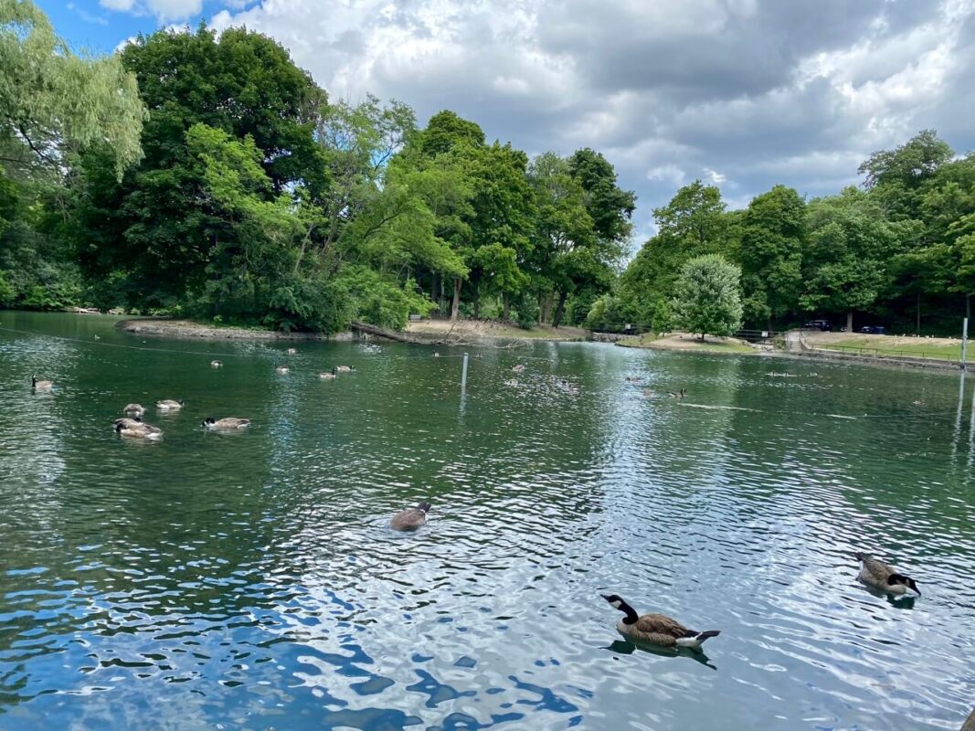 The Dufferin Islands in Niagara Falls Secluded Greenspace in the Heart
