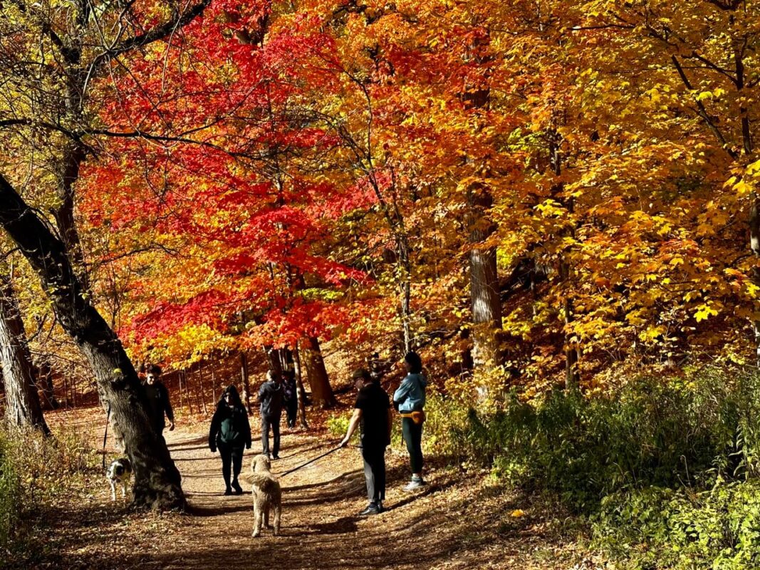 Hiking at Riverwood