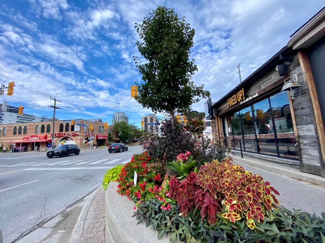 Port Credit Main Street