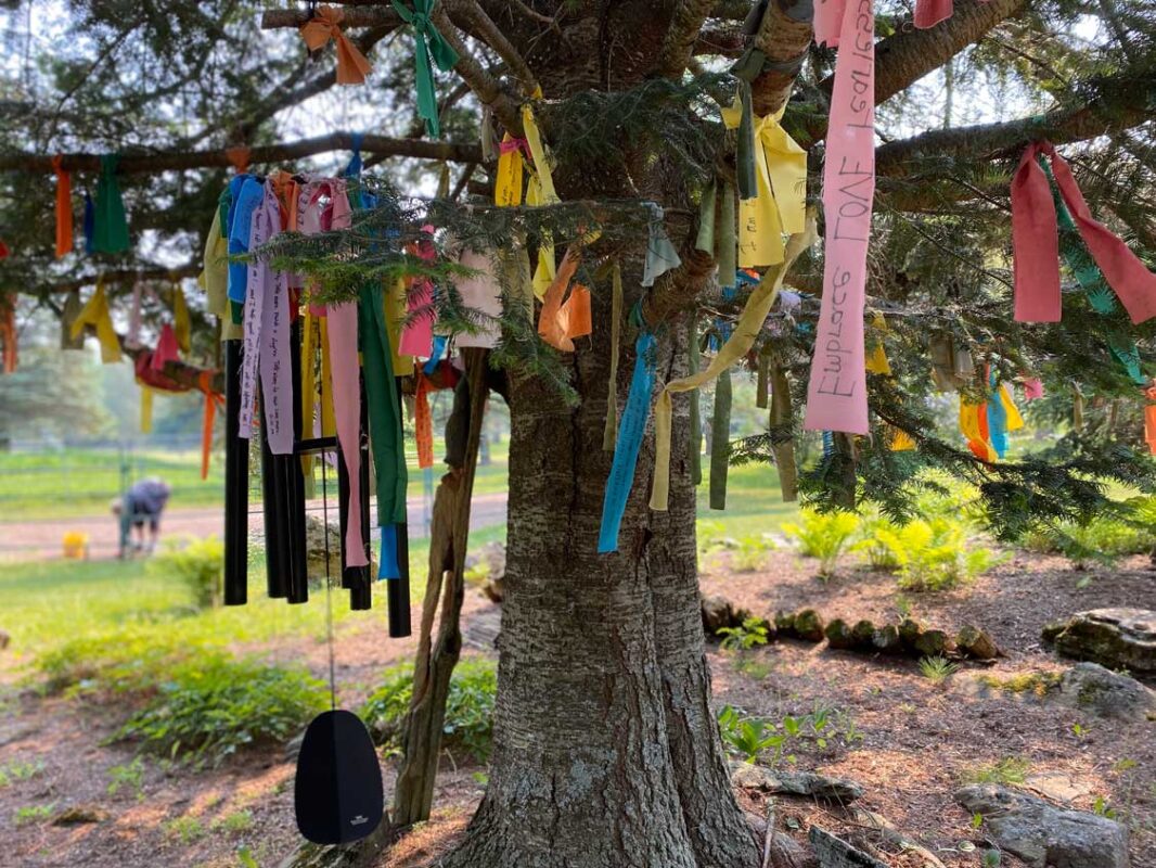 A tree draped with colourful flags with personal messages on them