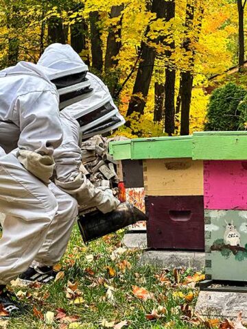 Two boys smoke a beehive at Ontario Honey Creations