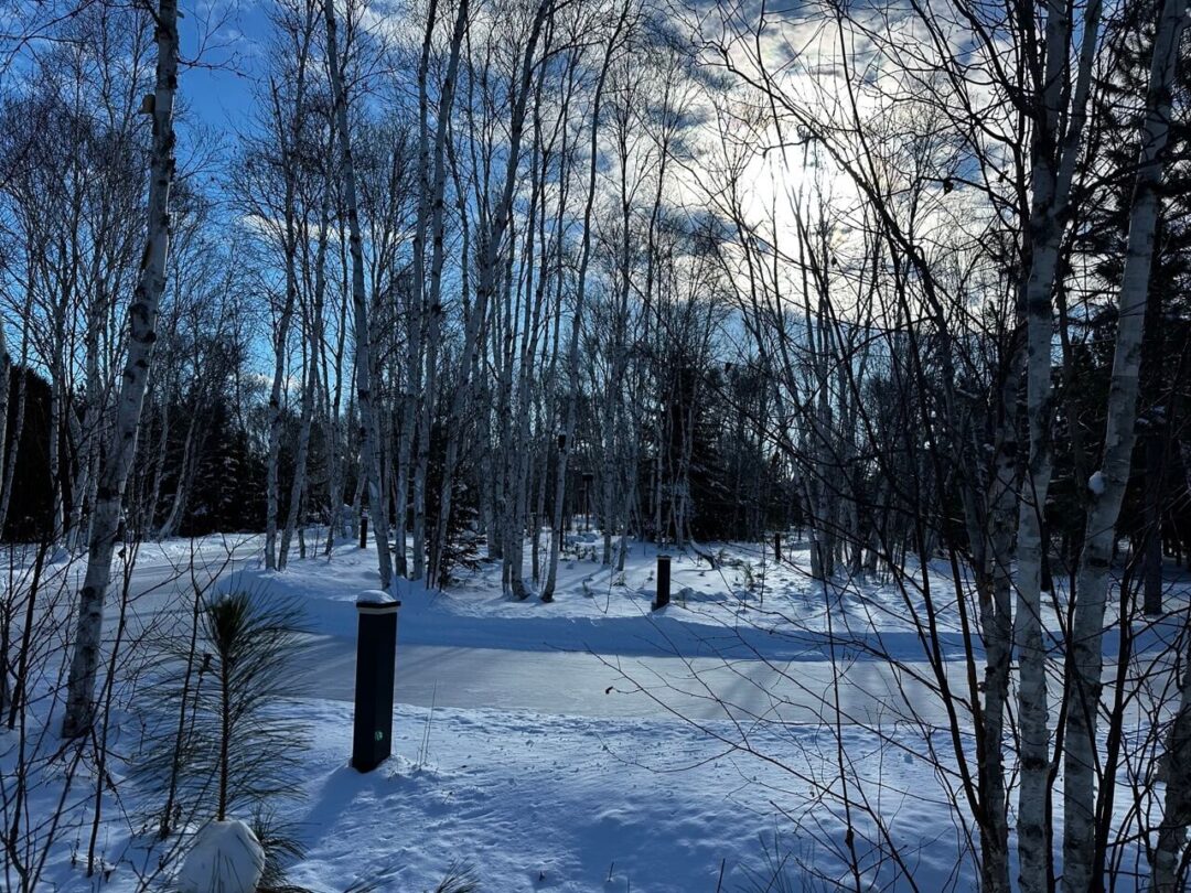 Kivi Park in Sudbury, Ontario: Almost 500 Acres of Northern Forest and ...