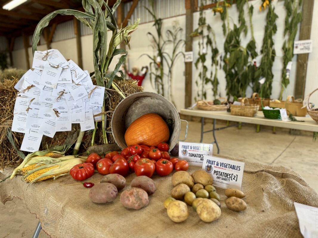 agricultural societies of Ontario fall fair