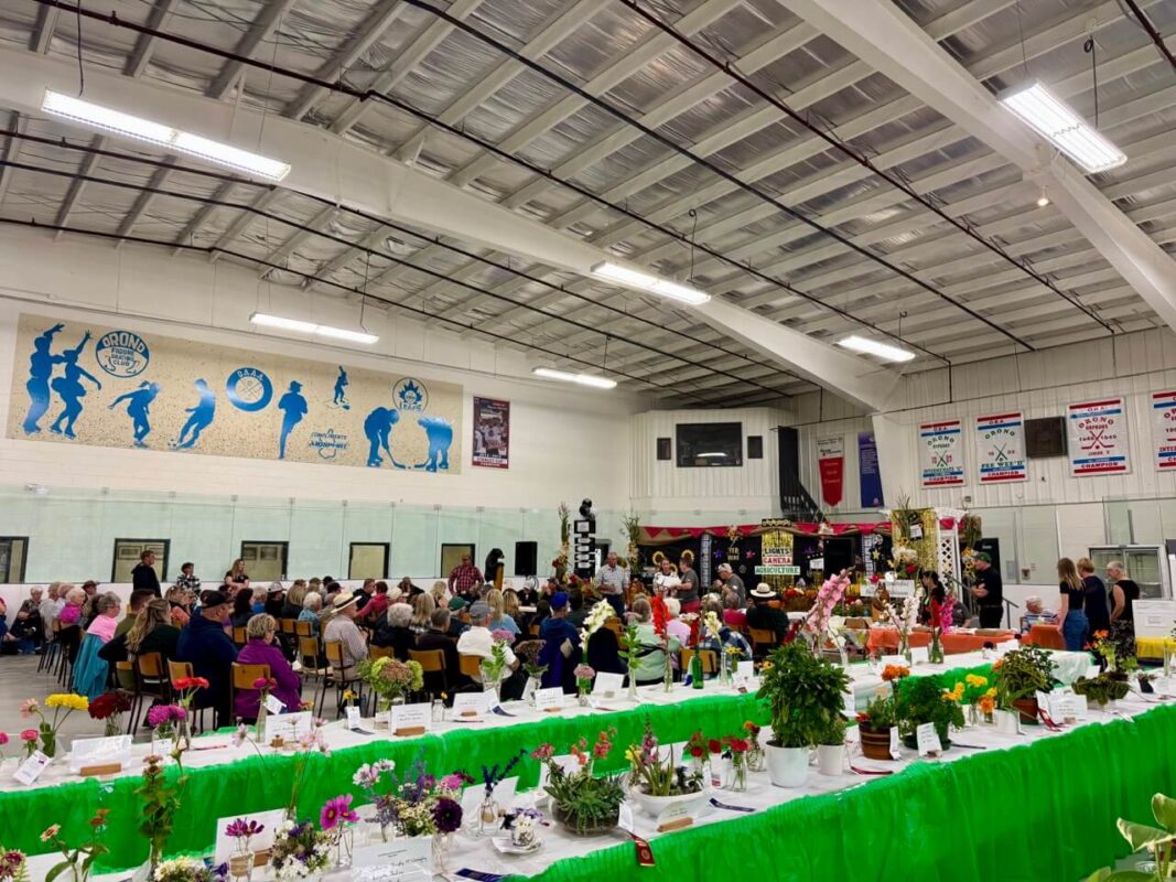 baking contest ontario fall fair