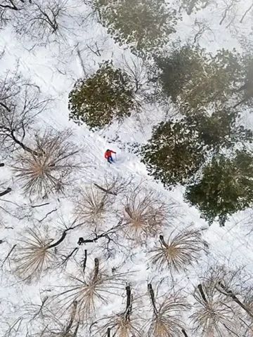 Aerial view of man in an orange jacket cross country skiing on the Trans Canada Trail in Winter between pine trees and birch trees