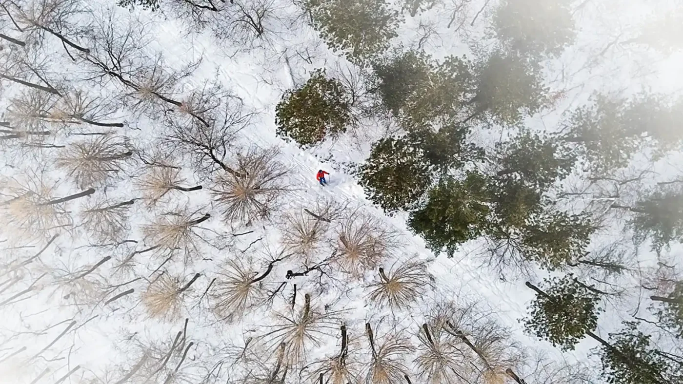 Aerial view of  man in an orange jacket  cross country skiing on the Trans Canada Trail in Winter between pine trees and birch trees